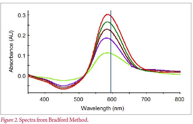 اندازه گیری و تعیین Total Protein توسط دستگاه اسپکتروفتومتر Lambda 465 UV-VIS PerkinElmer 1 طیف اندازه گیری میزان پروتیین به دست امده با دستگاه اسپکتروفتومتر با متد بردفورد