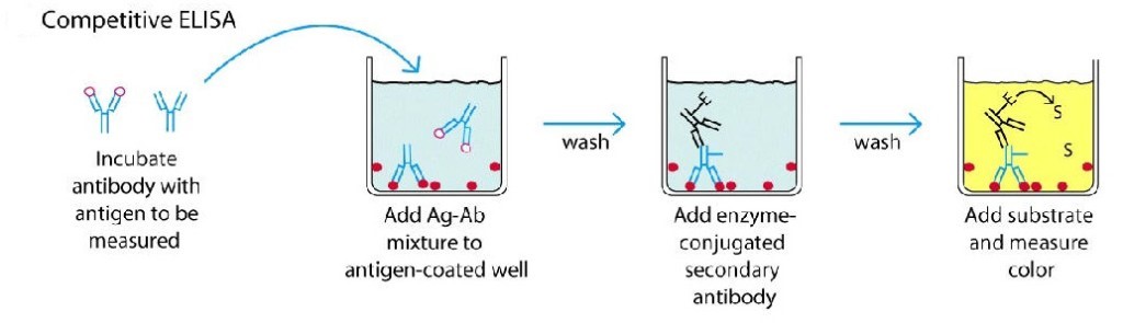 الایزا ریدر-الایزا رقابتی Competitive ELISA الایزا ریدر-الایزا رقابتی Competitive ELISA
