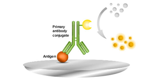 الایزا مستقیم Direct ELISA الایزا مستقیم Direct ELISA