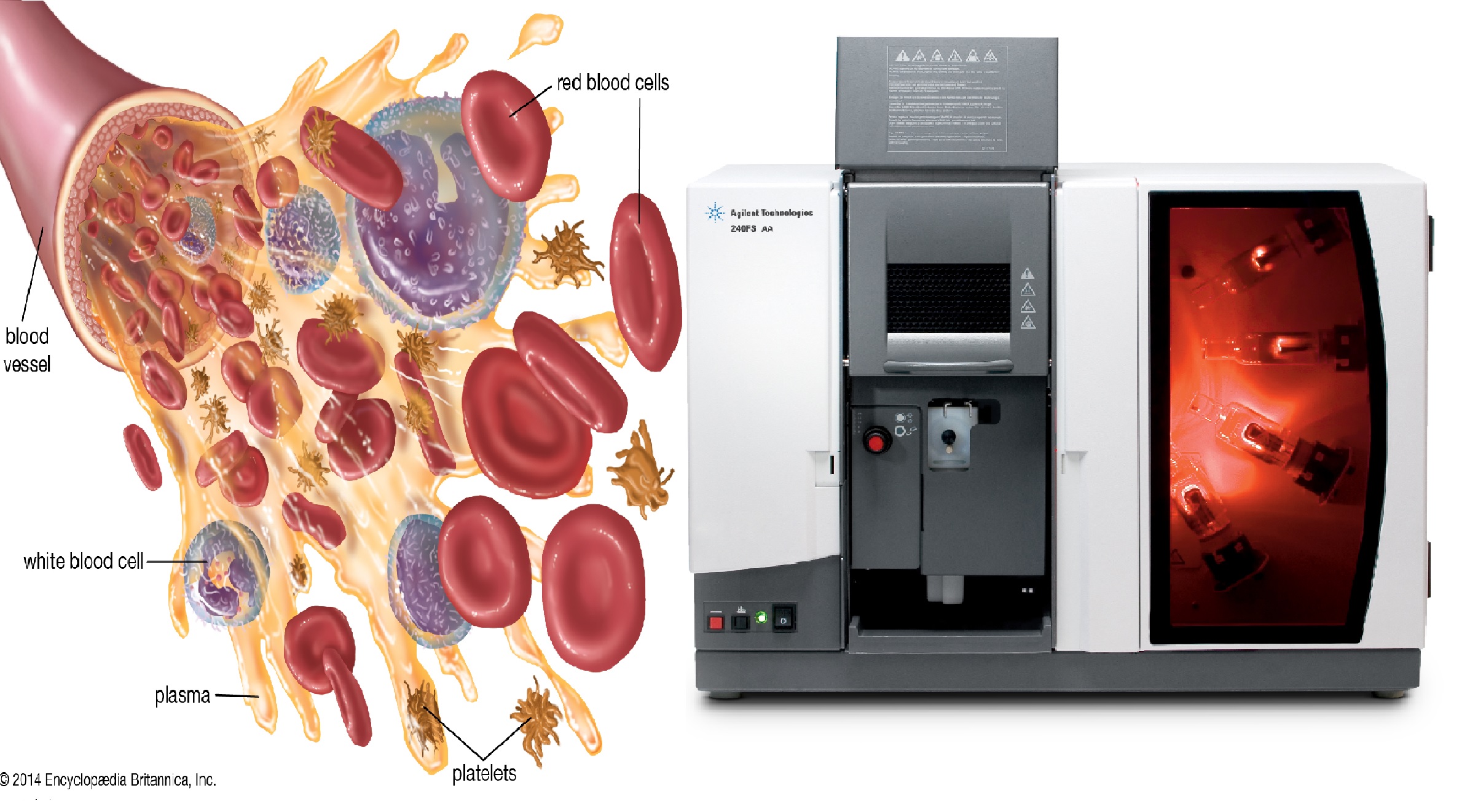 اندازه گیری فلزات سنگین موجود در خون با استفاده از دستگاه جذب اتمی اجیلنت پرکین المر