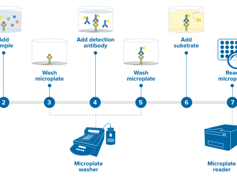 دستگاه الایزا ریدر Elisa Reader