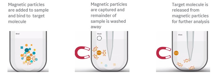 روش استخراج اسید نوکلییک بر ایه تصفیه بر پایه مهره مغناطیسی Magnetic bead-based purification روش استخراج اسید نوکلییک بر ایه تصفیه بر پایه مهره مغناطیسی Magnetic bead-based purification