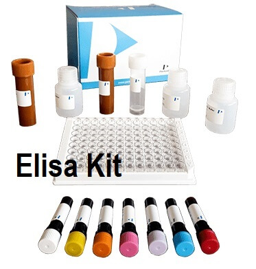 کیت الایزا ELISA Kit