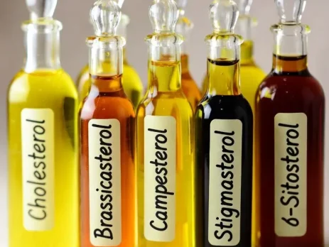استرول ها Sterol