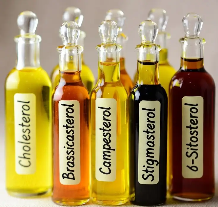 استرول ها Sterol